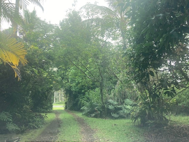 16-1265 40th Ave, Kurtistown, HI 96760 - photo 1