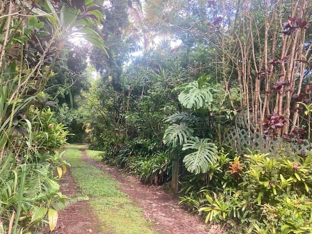 16-1265 40th Ave, Kurtistown, HI 96760 - photo 2