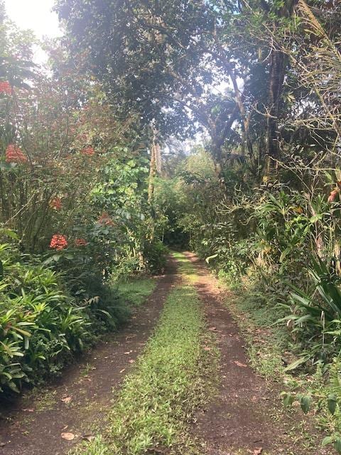 16-1265 40th Ave, Kurtistown, HI 96760 - photo 3