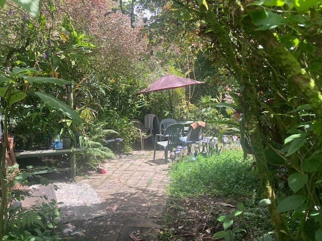 16-1265 40th Ave, Kurtistown, HI 96760 - photo 4