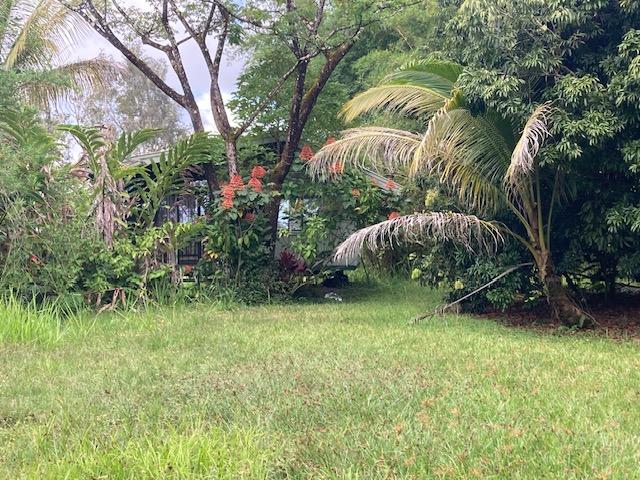 16-1265 40th Ave, Kurtistown, HI 96760 - photo 19