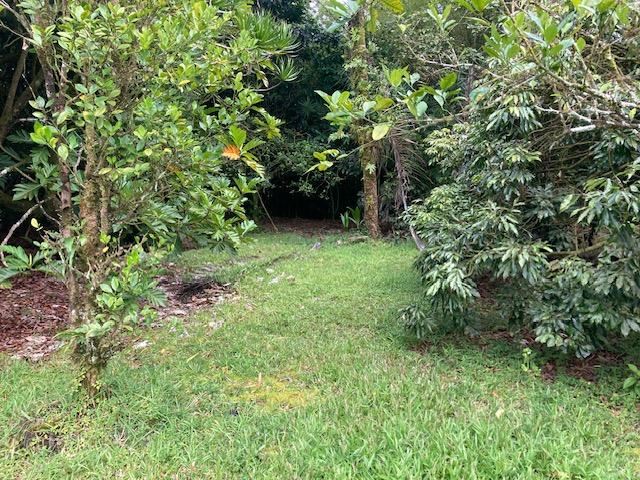 16-1265 40th Ave, Kurtistown, HI 96760 - photo 25