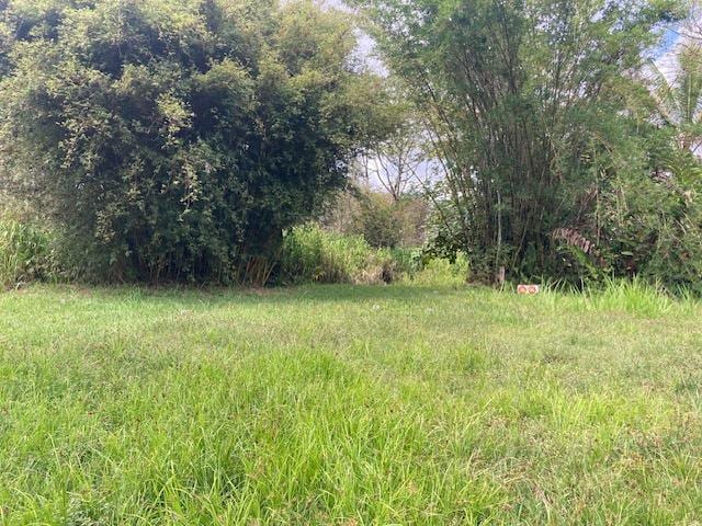 16-1265 40th Ave, Kurtistown, HI 96760 - photo 27