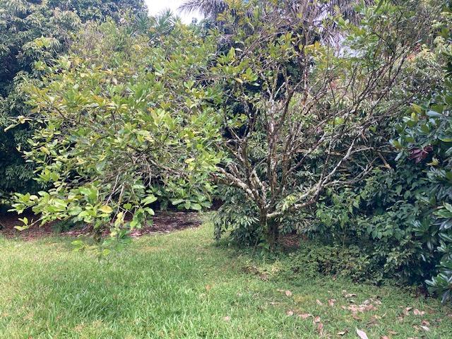 16-1265 40th Ave, Kurtistown, HI 96760 - photo 28