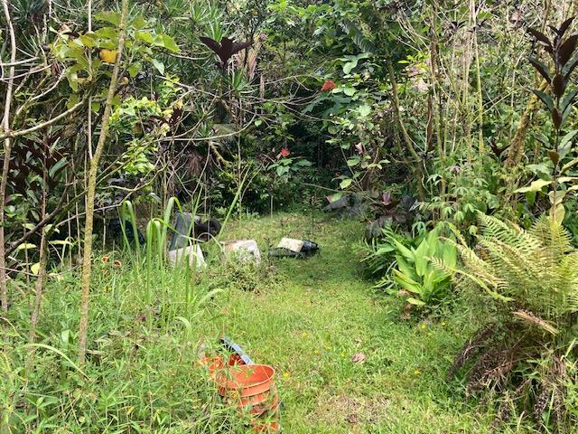 16-1265 40th Ave, Kurtistown, HI 96760 - photo 30