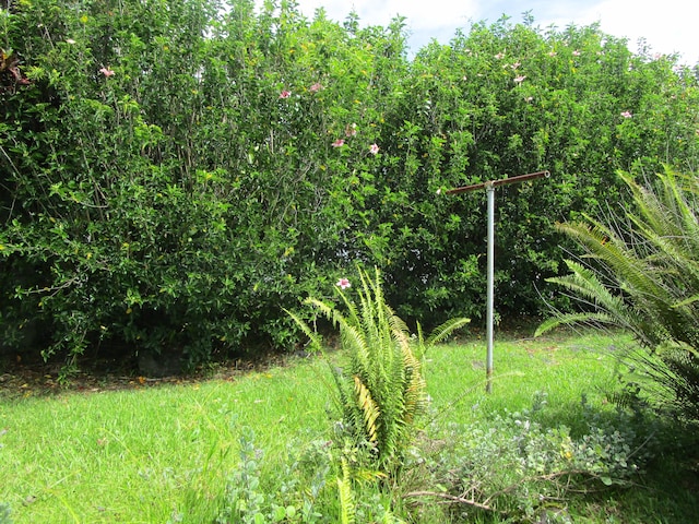 478 Hilinai St, Hilo, HI 96720 - view of local wilderness