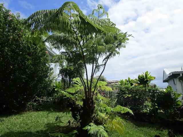 478 Hilinai St, Hilo, HI 96720 - view of yard