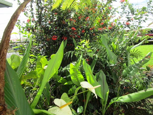 478 Hilinai St, Hilo, HI 96720 - exterior view