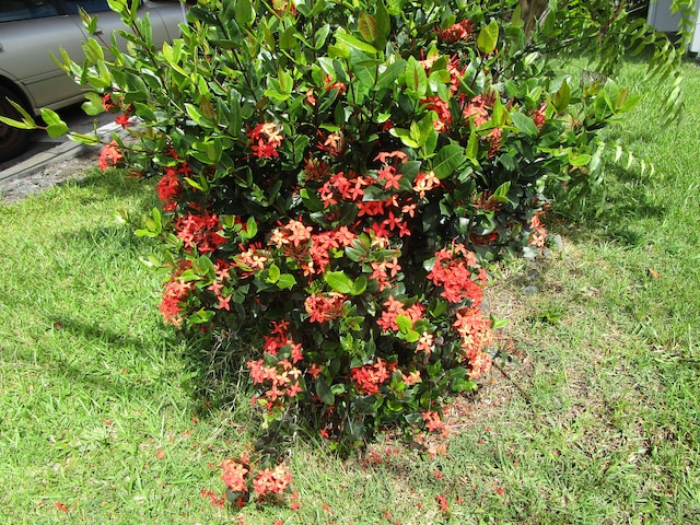 478 Hilinai St, Hilo, HI 96720 - exterior view