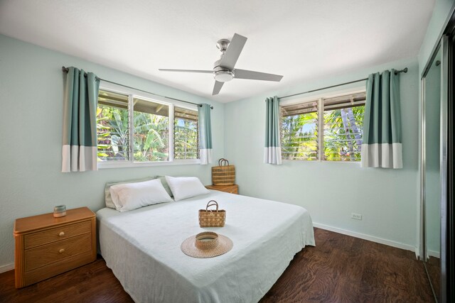 2375 Kipuka St, Koloa, HI 96756 - bedroom featuring dark wood finished floors, multiple windows, a closet, and ceiling fan