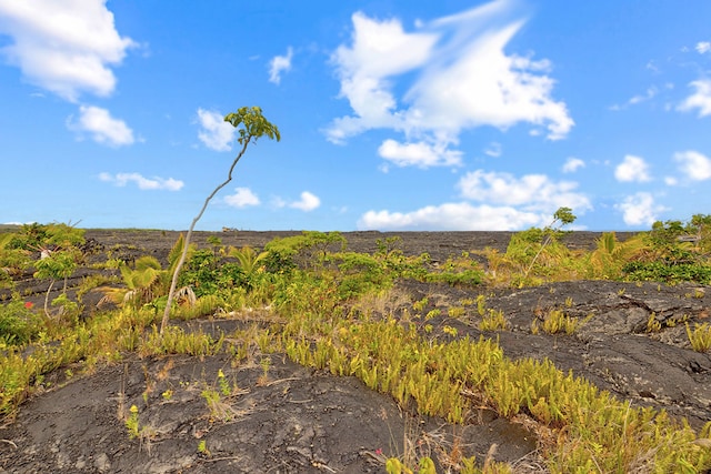 1 Piilani Rd, Pahoa, HI 96778 - view of local wilderness
