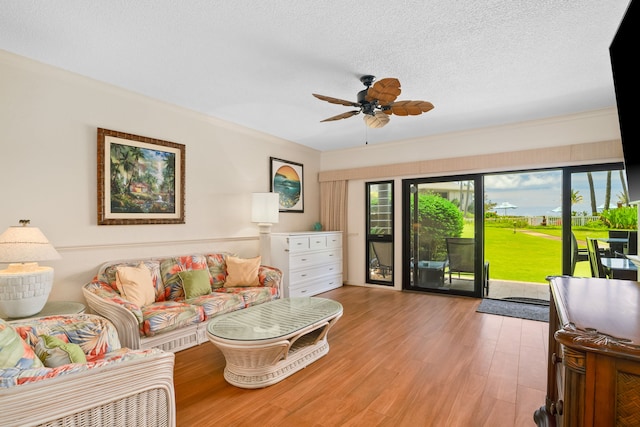 4460 Nehe Rd Unit 104, Lihue, HI 96766 - photo 5