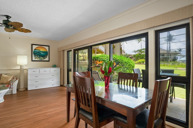 4460 Nehe Rd Unit 104, Lihue, HI 96766 - photo 9