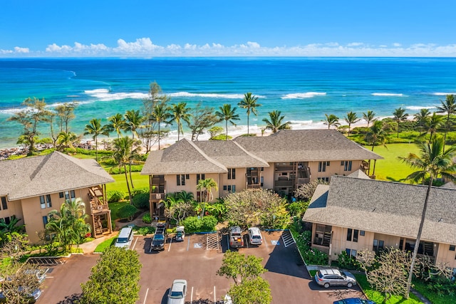4460 Nehe Rd Unit 104, Lihue, HI 96766 - photo 19