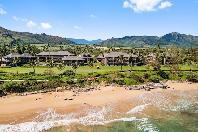 4460 Nehe Rd Unit 104, Lihue, HI 96766 - photo 21