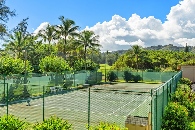 4460 Nehe Rd Unit 104, Lihue, HI 96766 - photo 27