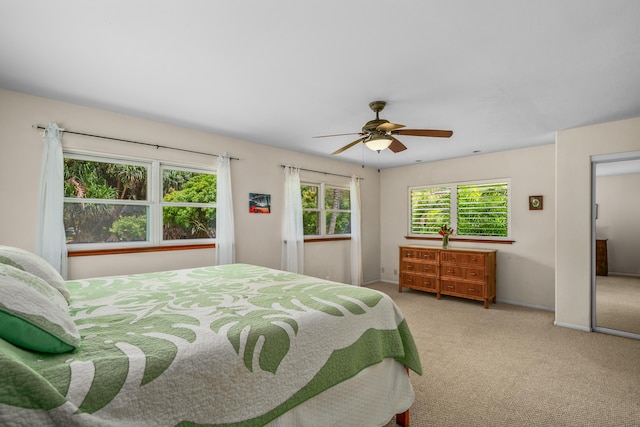 2364-C Hulemalu Rd, Lihue, HI 96766 - bedroom featuring carpet floors and ceiling fan