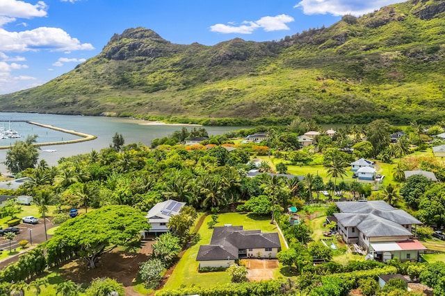 2364-C Hulemalu Rd, Lihue, HI 96766 - aerial view of residential area with a water and mountain view