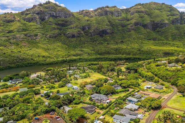 2364-C Hulemalu Rd, Lihue, HI 96766 - aerial view of a mountain backdrop and a forest
