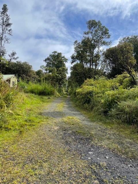 18-2019 Pua St, Volcano, HI 96785