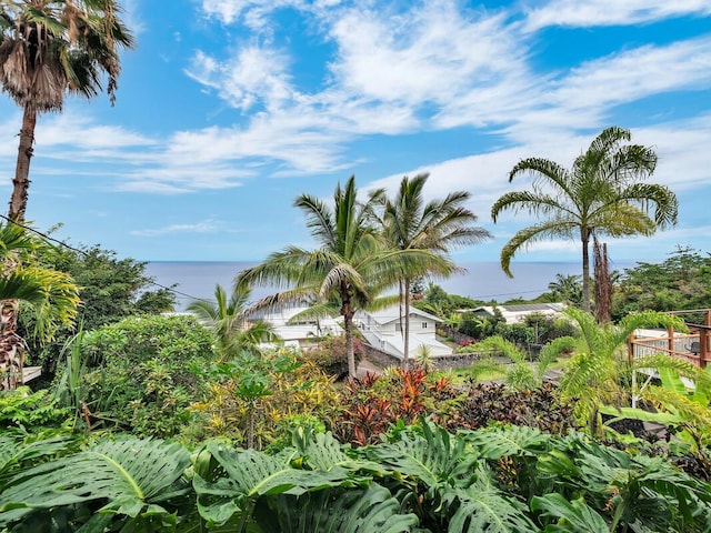 87-3216 Carissa Rd, Captain Cook, HI 96704 - water view