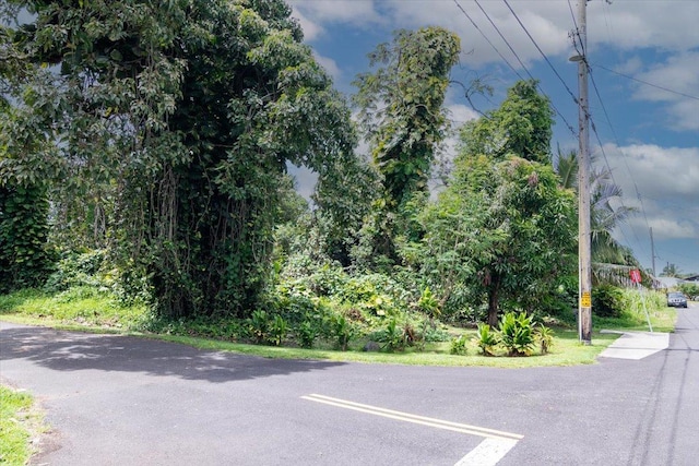 N Opihi St, Pahoa, HI 96778 - photo 2