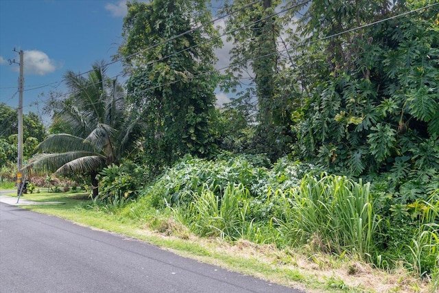 N Opihi St, Pahoa, HI 96778 - photo 7