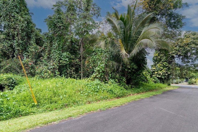 N Opihi St, Pahoa, HI 96778 - photo 8