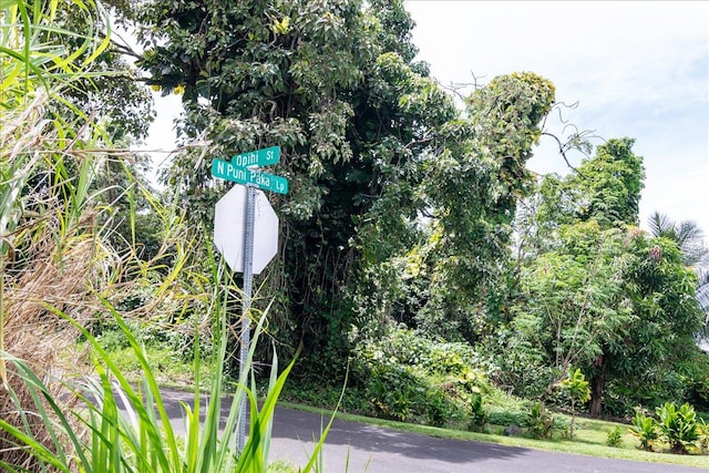 N Opihi St, Pahoa, HI 96778 - photo 9