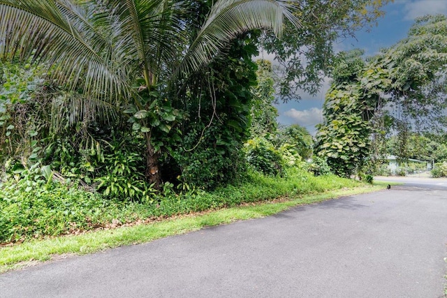 N Opihi St, Pahoa, HI 96778 - photo 1