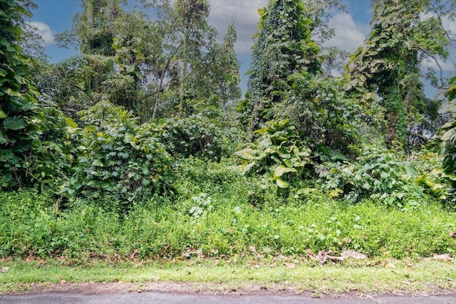 N Opihi St, Pahoa, HI 96778 - photo 12