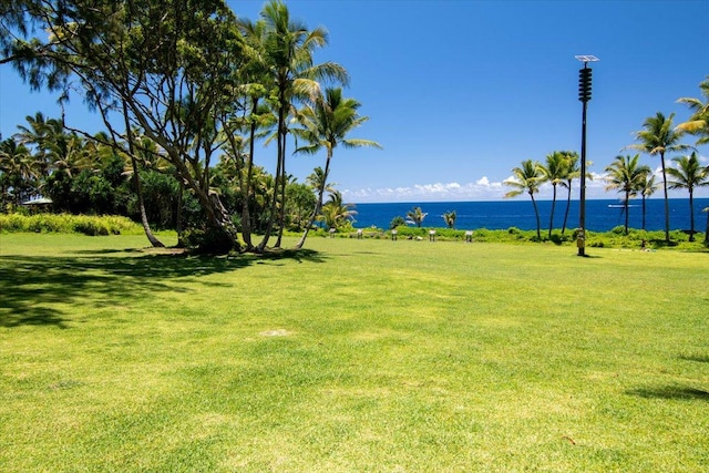 N Opihi St, Pahoa, HI 96778 - photo 17