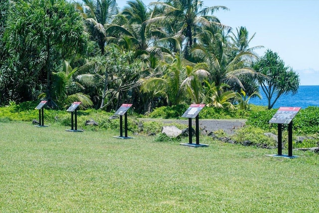 N Opihi St, Pahoa, HI 96778 - photo 18