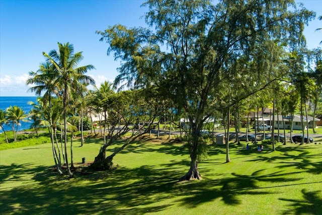 N Opihi St, Pahoa, HI 96778 - photo 20