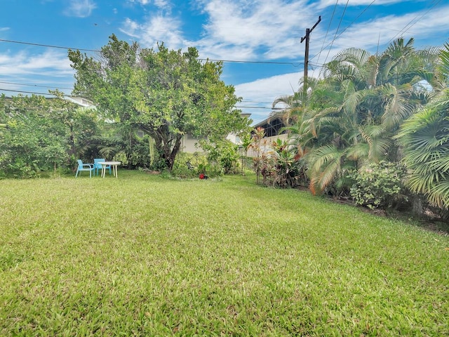 136 Alae St, Hilo, HI 96720 - photo 23