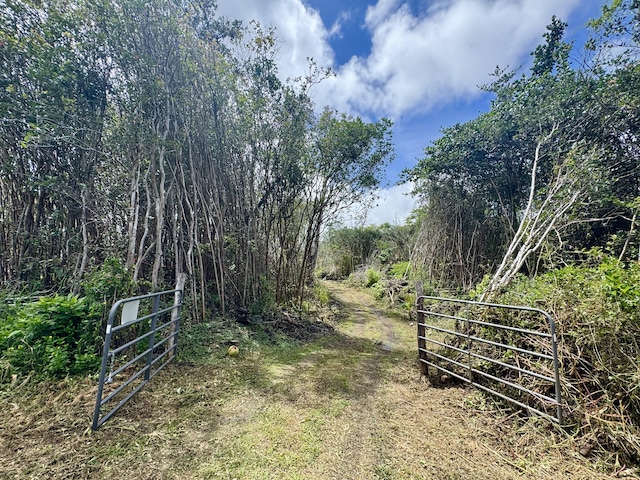 Kahukai St, Pahoa, HI 96778