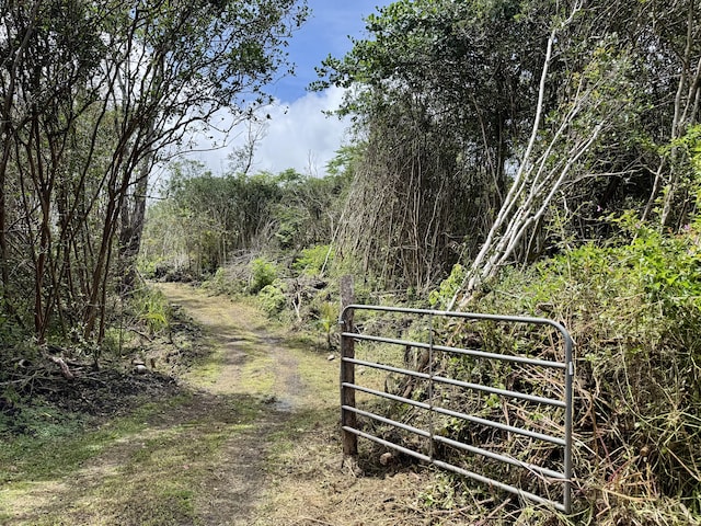 Kahukai St, Pahoa, HI 96778