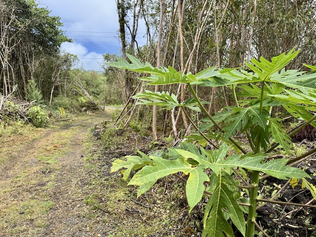 Kahukai St, Pahoa, HI 96778