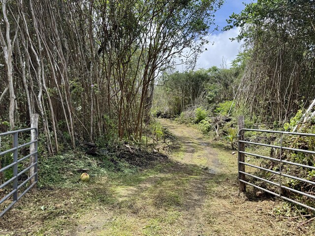 Kahukai St, Pahoa, HI 96778