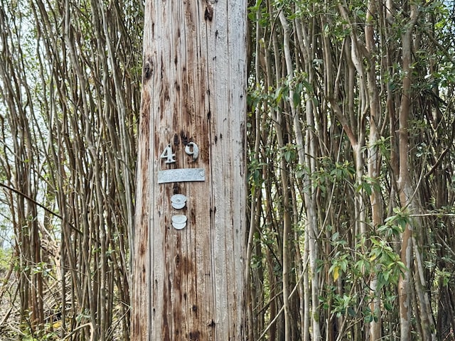 Kahukai St, Pahoa, HI 96778