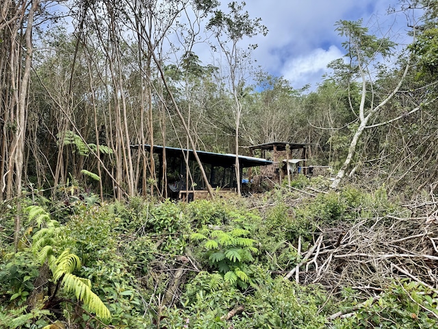 Kahukai St, Pahoa, HI 96778