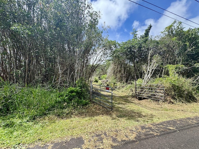 Kahukai St, Pahoa, HI 96778