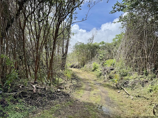 Kahukai St, Pahoa, HI 96778