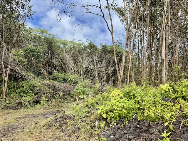 Kahukai St, Pahoa, HI 96778