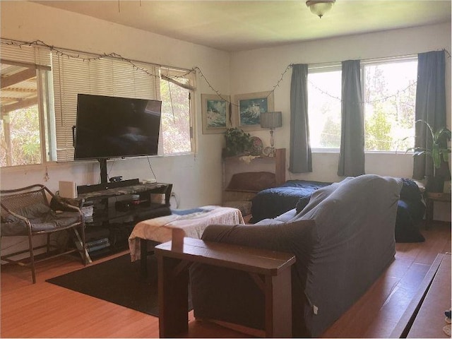 14-623 Seaview Rd, Pahoa, HI 96778 - photo 5