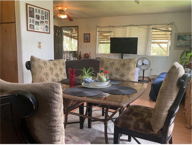 14-623 Seaview Rd, Pahoa, HI 96778 - photo 8