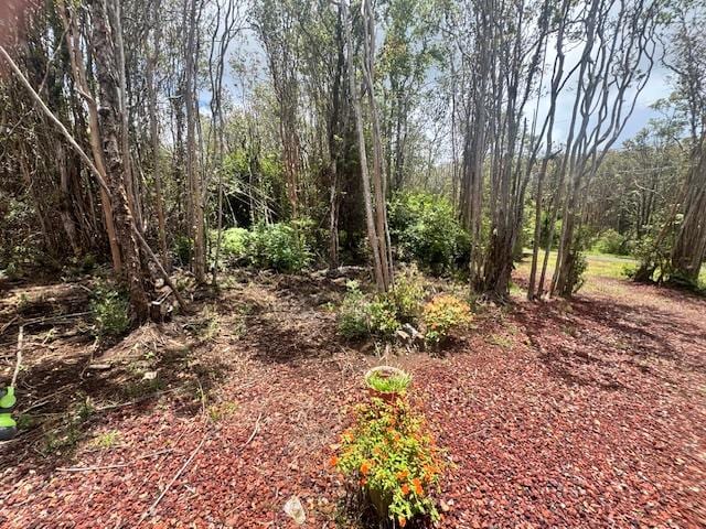 18-2026 Mahena St, Volcano, HI 96785 - view of undeveloped land