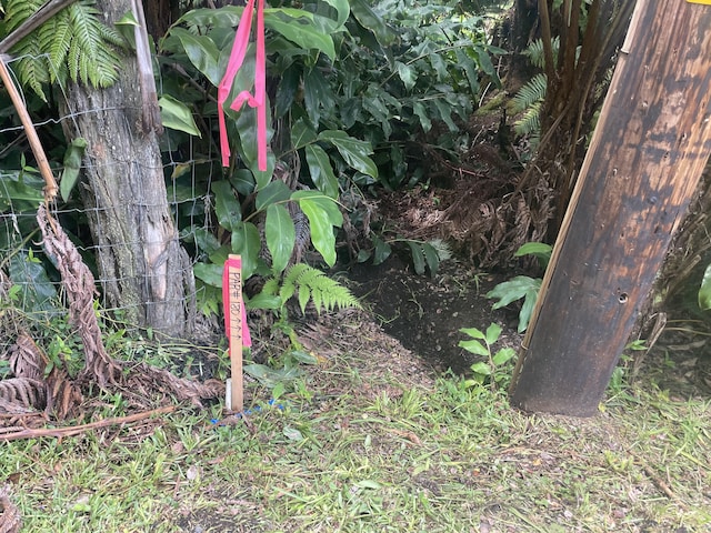 19-4122 Kalani Honua Loop, Volcano, HI 96785 - photo 13