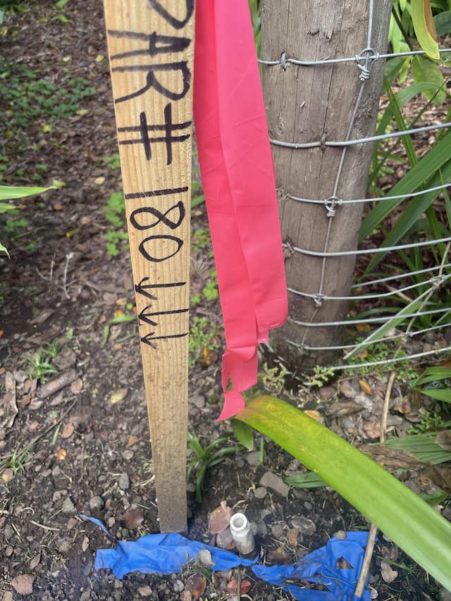 19-4122 Kalani Honua Loop, Volcano, HI 96785 - photo 14