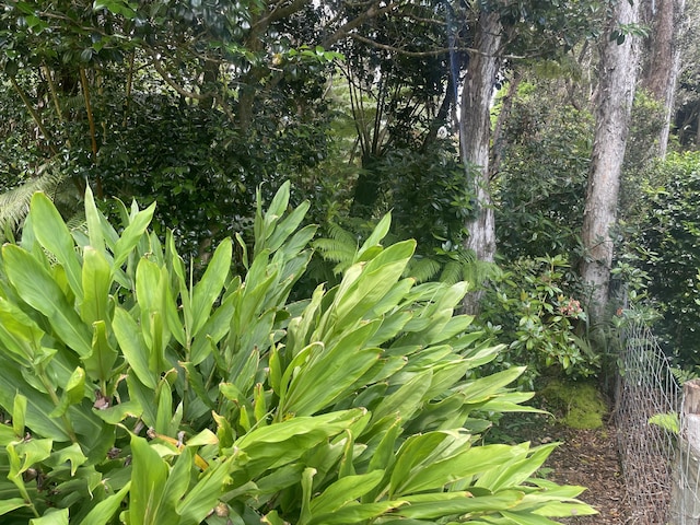 19-4122 Kalani Honua Loop, Volcano, HI 96785 - photo 11